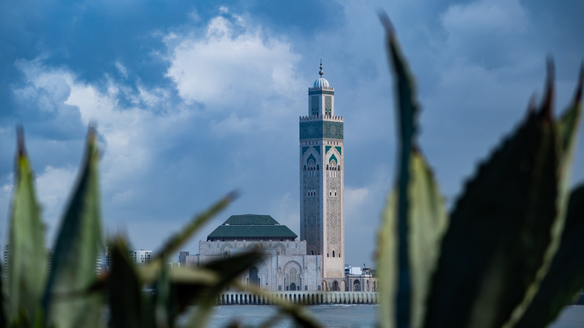 Day 3? 2? I don’t know